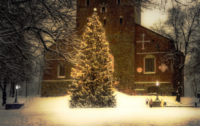 árvore-de-natal 16 lista